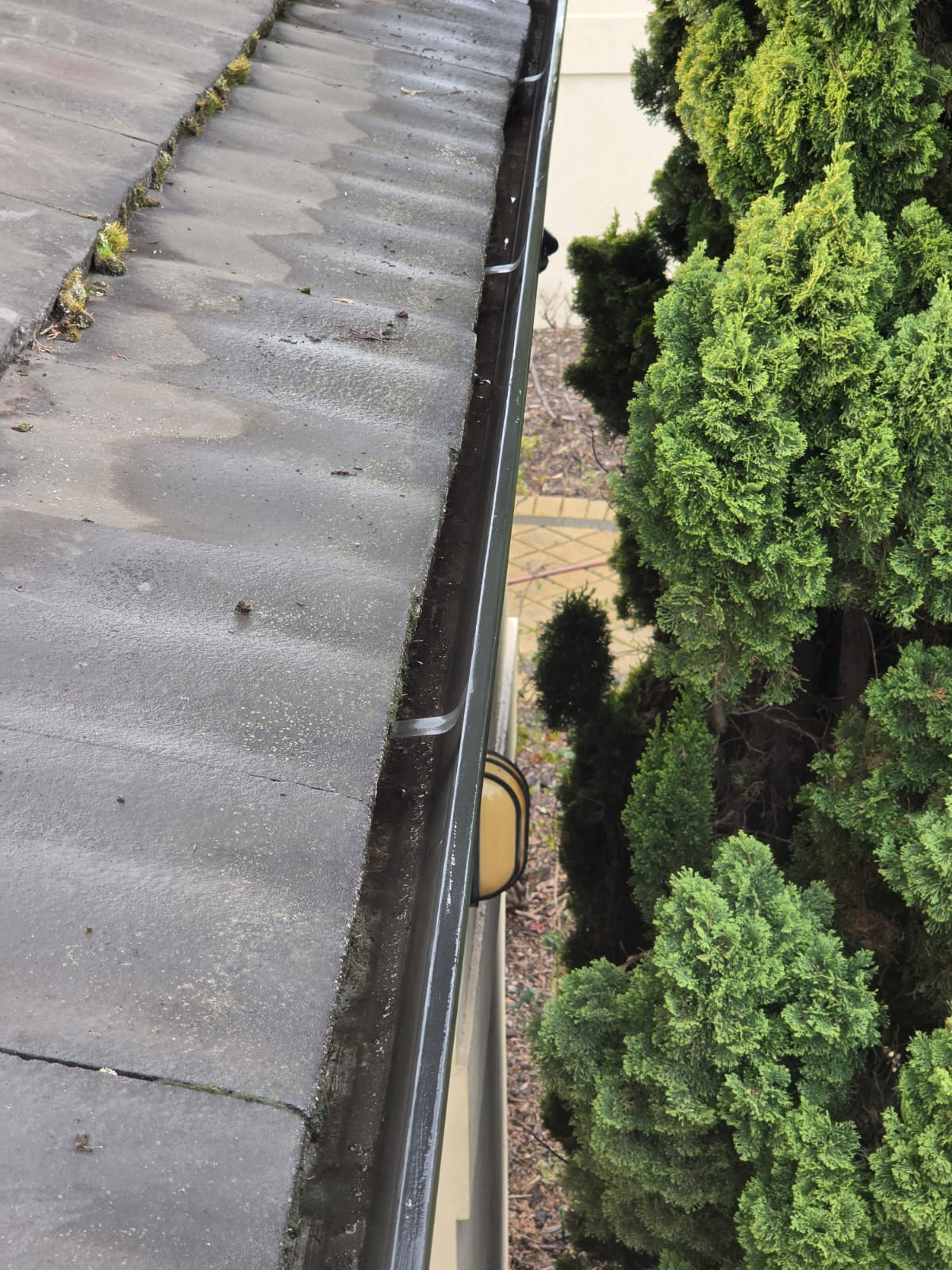 Gutter Cleaning