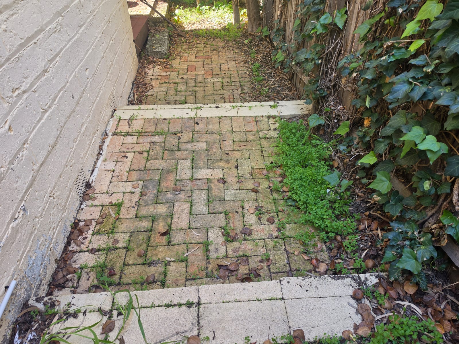 Driveway, Pavers & Wall Pressure Washing before cleaning, job 1