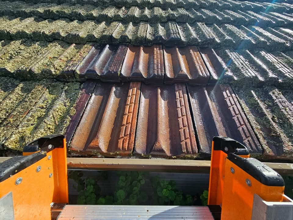 Roof High Pressure & Soft Wash before cleaning, another angle