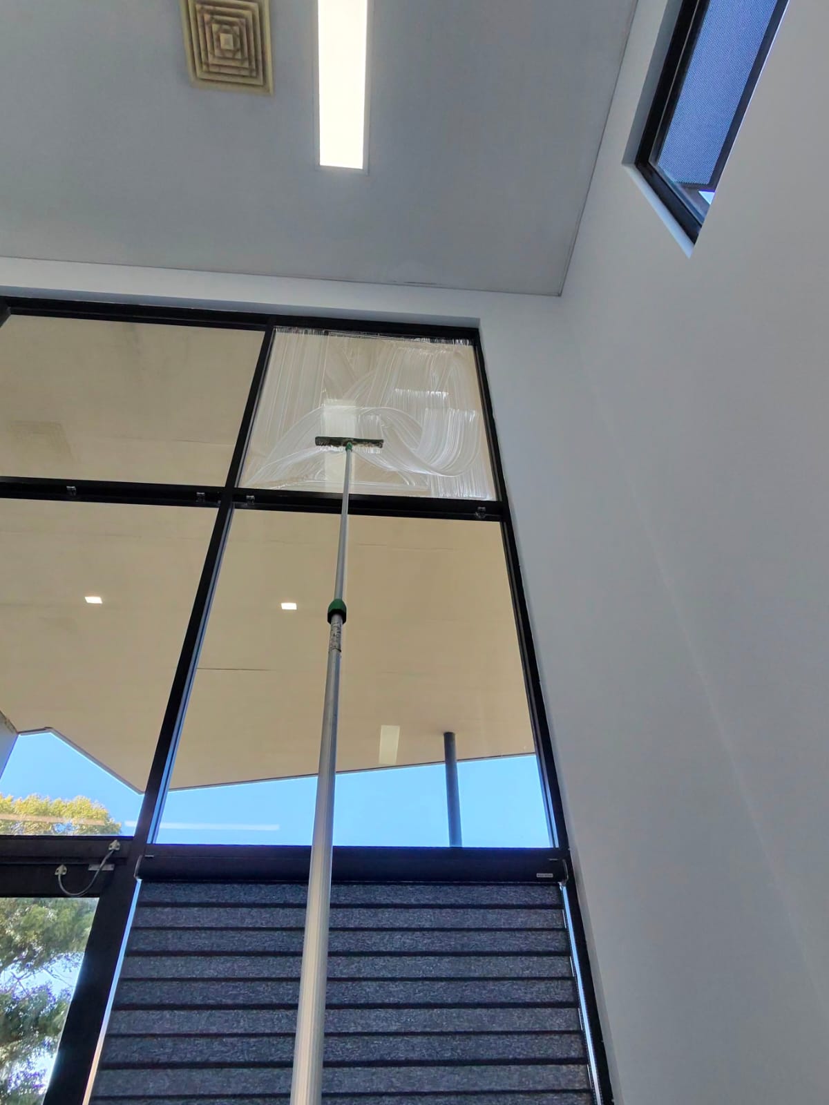 Professional Window Cleaning